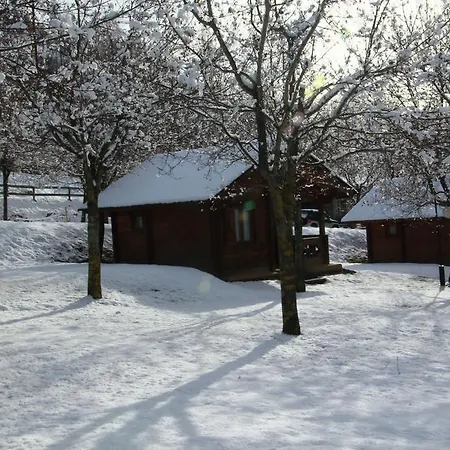 Camping Viu 2*