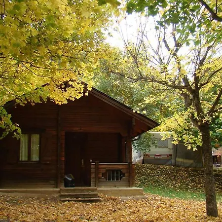 Viu Camping